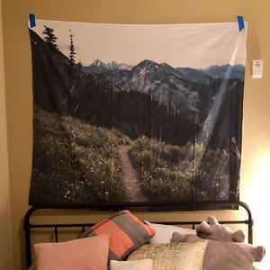 Mountain Tapestry